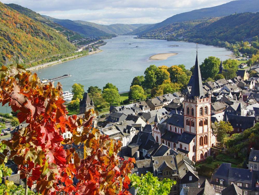 Ferienwohnung "Gecko" Andernach Exteriér fotografie